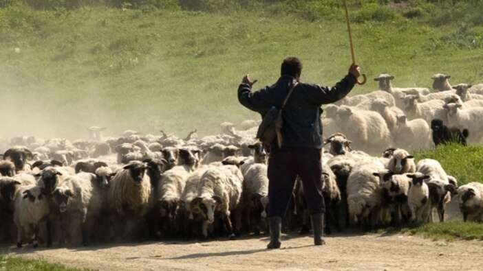 Şırnak’ta 19 yaşındaki çoban hayvanları otlattığı yerde ölü bulundu