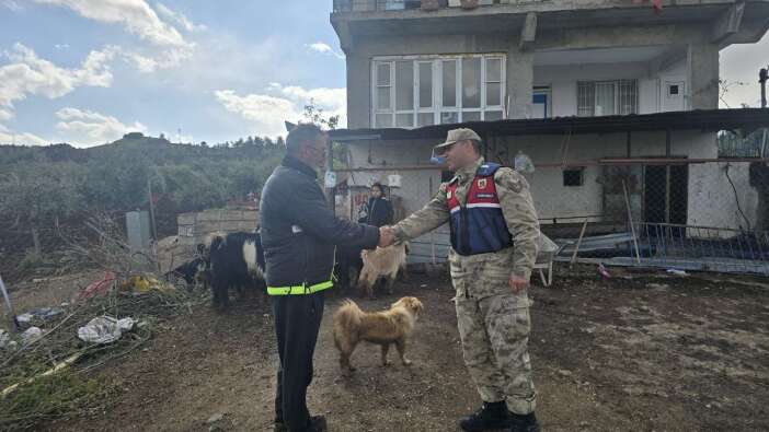 Koyun sürüsü ormana kaçmış, 4 kilometre uzakta jandarma buldu