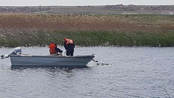 Eskişehir’de istilacı balık alarmı: Sakaryabaşı’nda 5 bin 376 balık yakalandı
