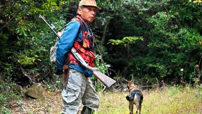 Japonya'dan vahşi hayvanlara "vur emri" çıktı: Ayı saldırıları sonucu 6 kişinin hayatını kaybetmişti