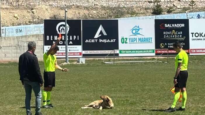Hakem sahaya giren köpeğe kırmızı kart gösterdi