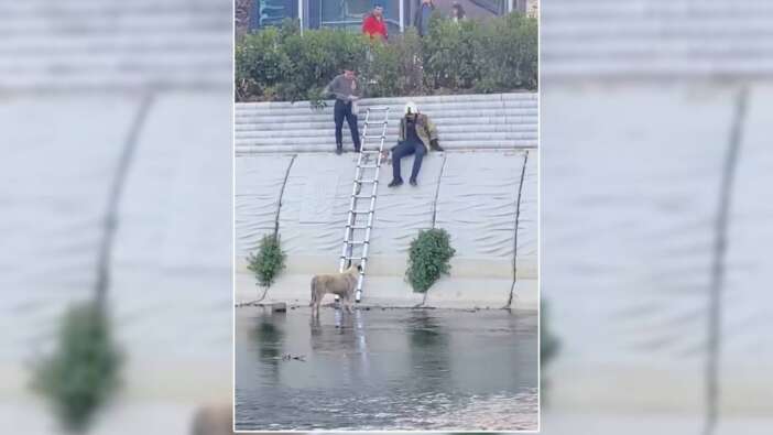 Derede mahsur kalan köpeği Kağıthane itfaiyesi kurtardı