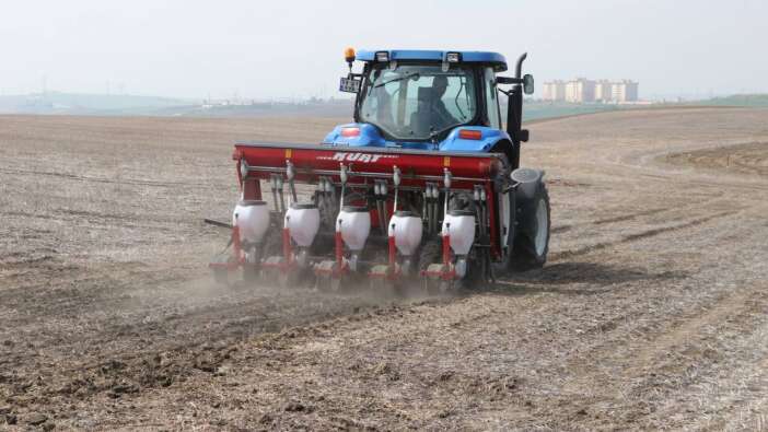 Tekirdağ'da ayçiçeğinin kuraklığa karşı dayanıklılığı için anıza ekim yapılıyor