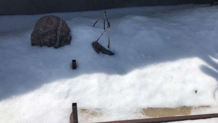 Antalya beyaza büründü! Tarım arazileri zarar gördü, yollar kapandı