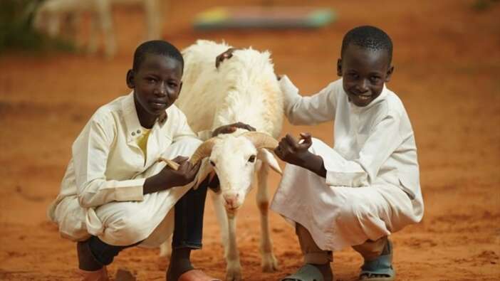 Afrika’da Bir Kurban, Bir Aileye Bayram Sevinci Oluyor