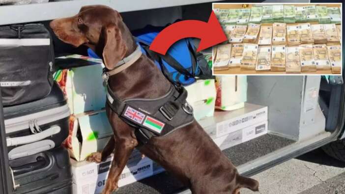 Sınırda nefes kesen anlar: Tıra gizlenen 15 milyon lirayı dedektör köpek Adele ortaya çıkardı