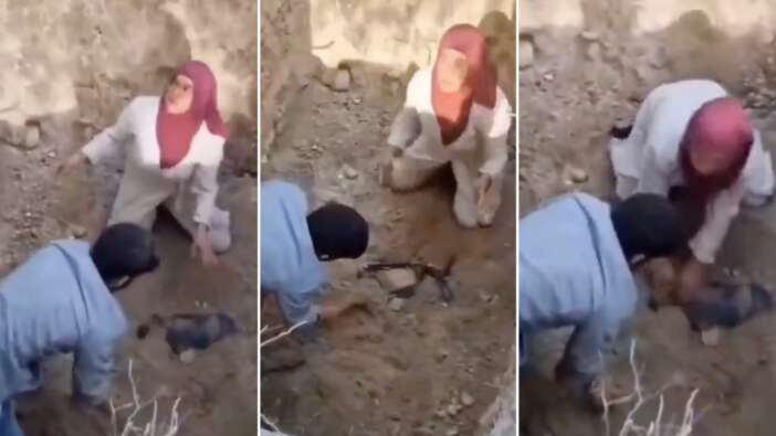 Bursa’da skandal: Kuduz şüphesiyle gömülen köpeklerin mezarını kazdılar! Hıfzıssıhha harekete geçti