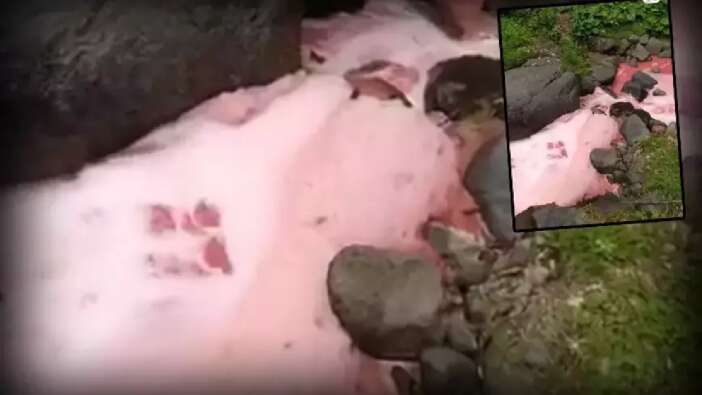 Rize Valiliği açıkladı: Çevre kirliliği iddiası doğru mu?