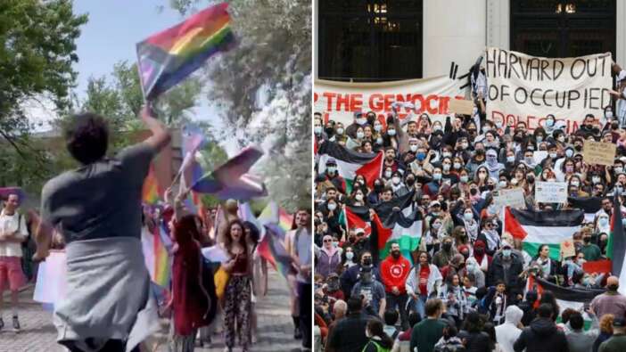 ODTÜ-Harvard farkı... Bizimkiler sapkın LGBT, onlar Filistin için eylem yapıyor!