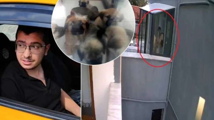 Köpek sapığı doktor Muhammet Mustafa Duman'ın telefonundan 43 bin müstehcen görüntü çıktı