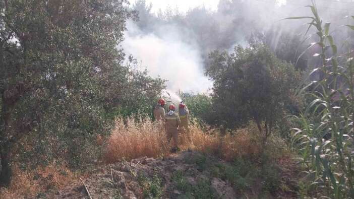 Mardin'de tarım arazisinde yangın! 350 dönüm buğday ekili alan zarar gördü...