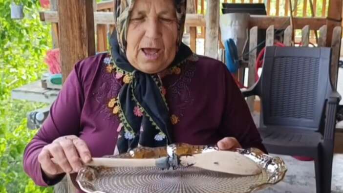 Parmak kadar ama cezası cep yakıyor! Geyik böceğini öldürmenin bedeli 557 bin TL...