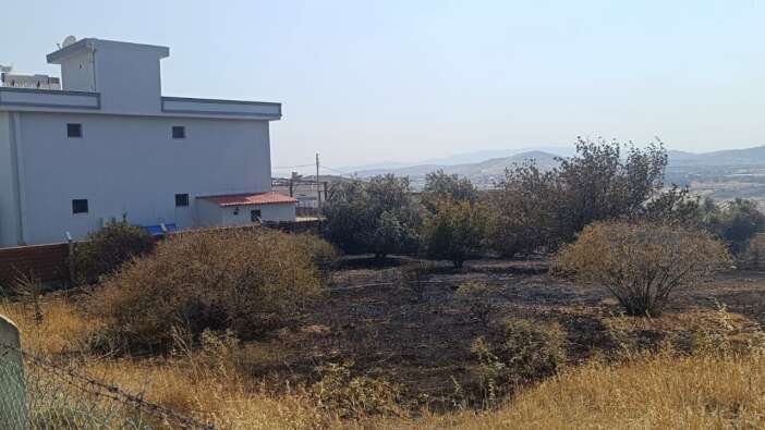 İzmir'de orman yangını! Yangın konutlara da sıçradı! 4 kişiye gözaltı