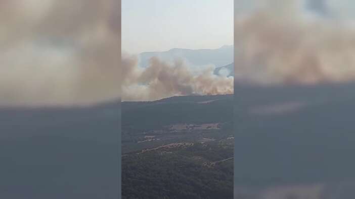 Manisa'da orman yangını! Ekiplerin müdahalesi sürüyor...