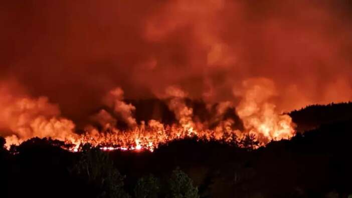 Sakarya'daki yangın Bilecik'e sıçradı! Müdahalelerde son durum ne?