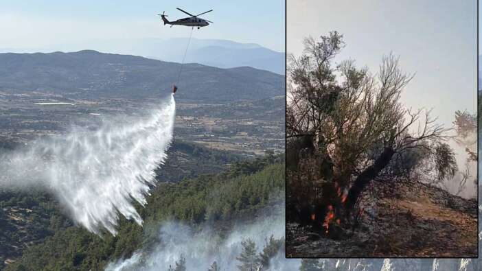 Yangınlarda son durum: Muğla Milas ve Saruhanlı'da alevler kontrol altında