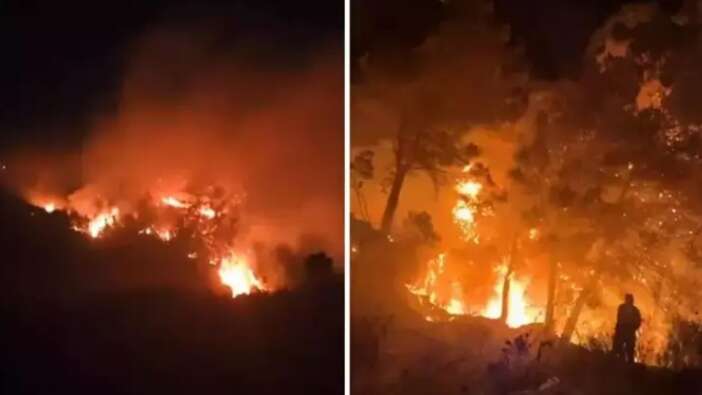 Alevler mahalleye yaklaştı! Hatay Samandağ'da korkunç yangın! Ekipler seferber oldu...