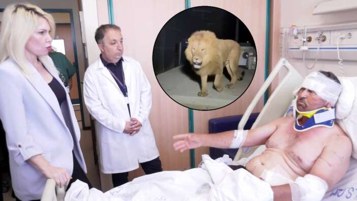 Sivrisinek ısırmasın diye üstüne battaniye örtmüştü, aslan ısırdı! Manavgatlı çiftçi taburcu edildi