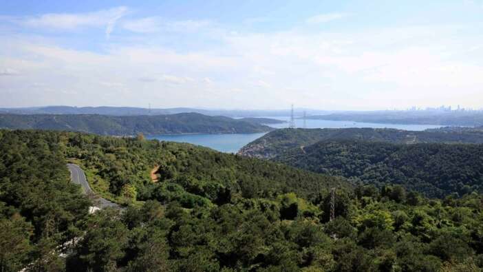 İstanbul ve Yalova'da yangın önlemi! Son tarih: 2 Ağustos!