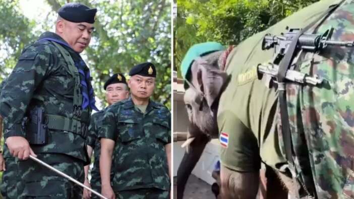 Tayland-Kamboçya sınırında çatışmalar tırmanıyor: Can kaybı 32’ye çıktı, Tayland ordusu sınıra fil gönderdi