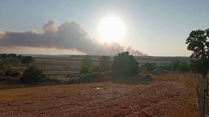 Edirne Enez’de orman yangını! Rüzgar, alevleri sınırımıza ve Yunanistan’a taşıyabilir