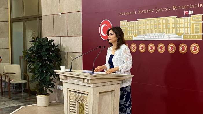 DEM Parti'nin komisyondan talebi: Toplumsal yaşama katılım kanallarının açılması...