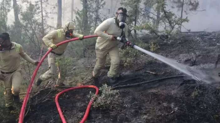 Bolu’da orman yangını şüphelisinden ilk tutuklama! Biçerdöver felaketi başlattı