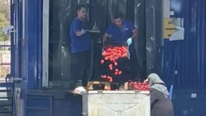 İstanbul'daki zincir market çalışanları kasa kasa domatesi çöpe döktü