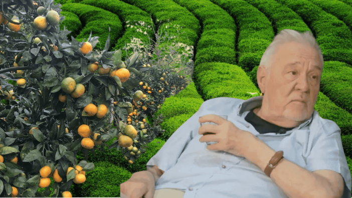 İlber Ortaylı'nın çay yorumu ortalığı karıştırdı: Mandalina eksinler! Rizelilerden çığ gibi tepki!