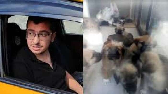 Ankara’da dehşet davası: Doktora köpeklere istismardan 9 yıl 9 ay hapis!