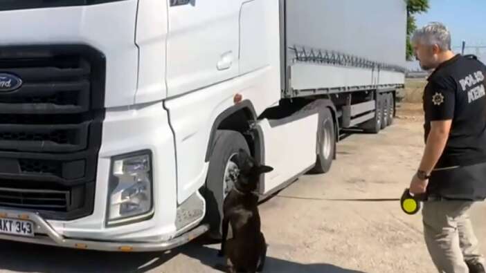 Adana’da 55 kilo skunk yakalandı: “Arkadaşım rica etti” dedi