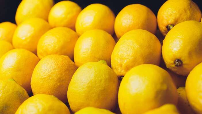Limon saklamanın püf noktası. Haftalarca küflenmiyor ve bozulmuyor