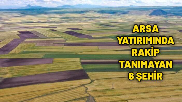 Arsa ve tarla yatırımı için en cazip 6 şehir; Yıldızı parlıyor düşük bütçelere yer bulunuyor