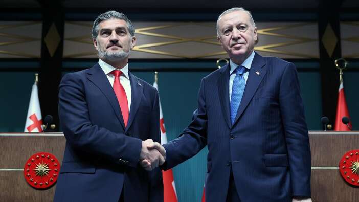 Cumhurbaşkanı Recep Tayyip Erdoğan'dan Gürcü mevkidaşıyla kritik görüşme: Uçak kazası ele alındı!