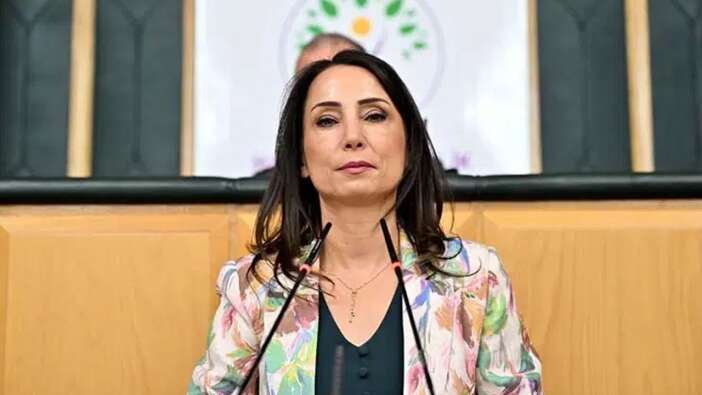 DEM, YPG'ye desteğe gidiyor