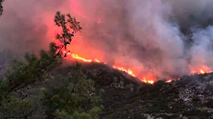 Antalya'nın Kaş ilçesinde orman yangını! Alevlerin enerjisi düşürüldü