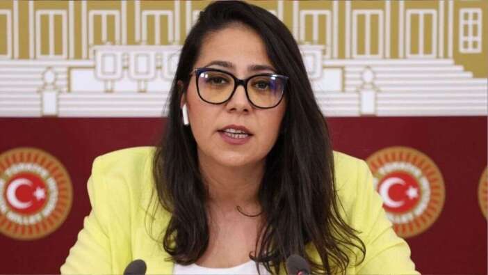 Sera Kadıgil hakkında Cumhurbaşkanına hakaretten soruşturma başlatıldı