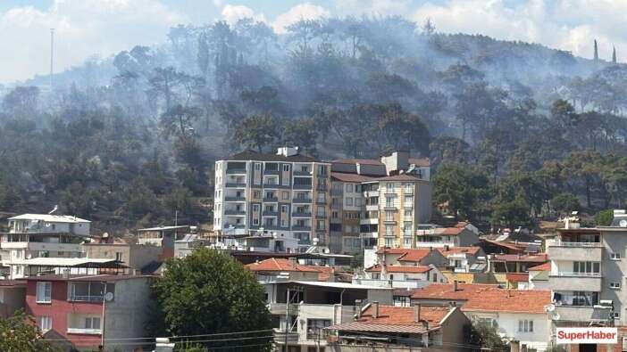 Şiddetli poyraz körükledi! Marmara'da orman yangını kabusu! Üç farklı ilde eş zamanlı başladı