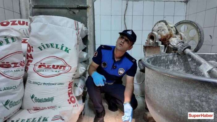 Gaziantep'te fırında hamam böceği skandalı: Zabıtaya verilen yanıt pes dedirtti