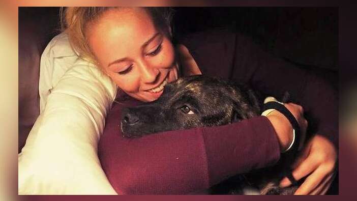 Pitbull cinsi iki köpek sahibini yedi!