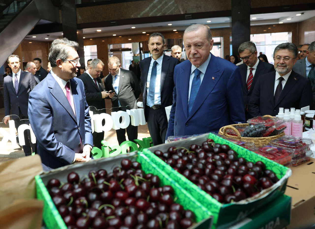 erdogan