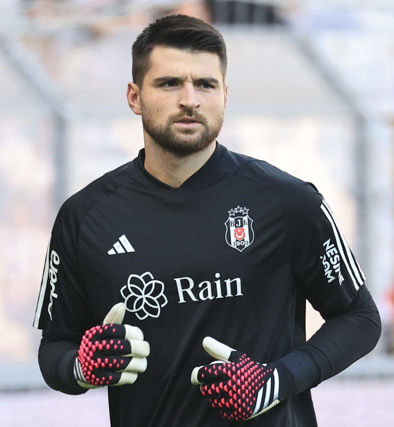 ersin