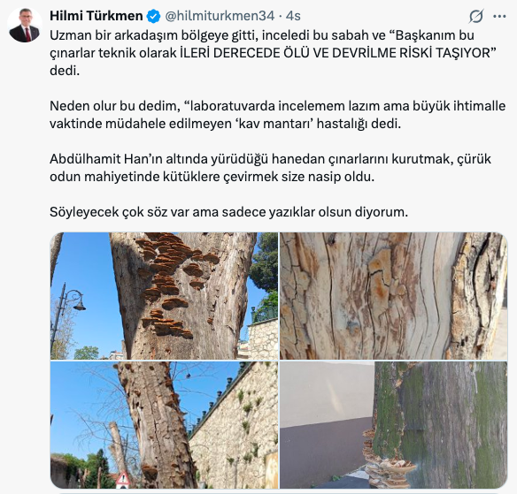 besiktas