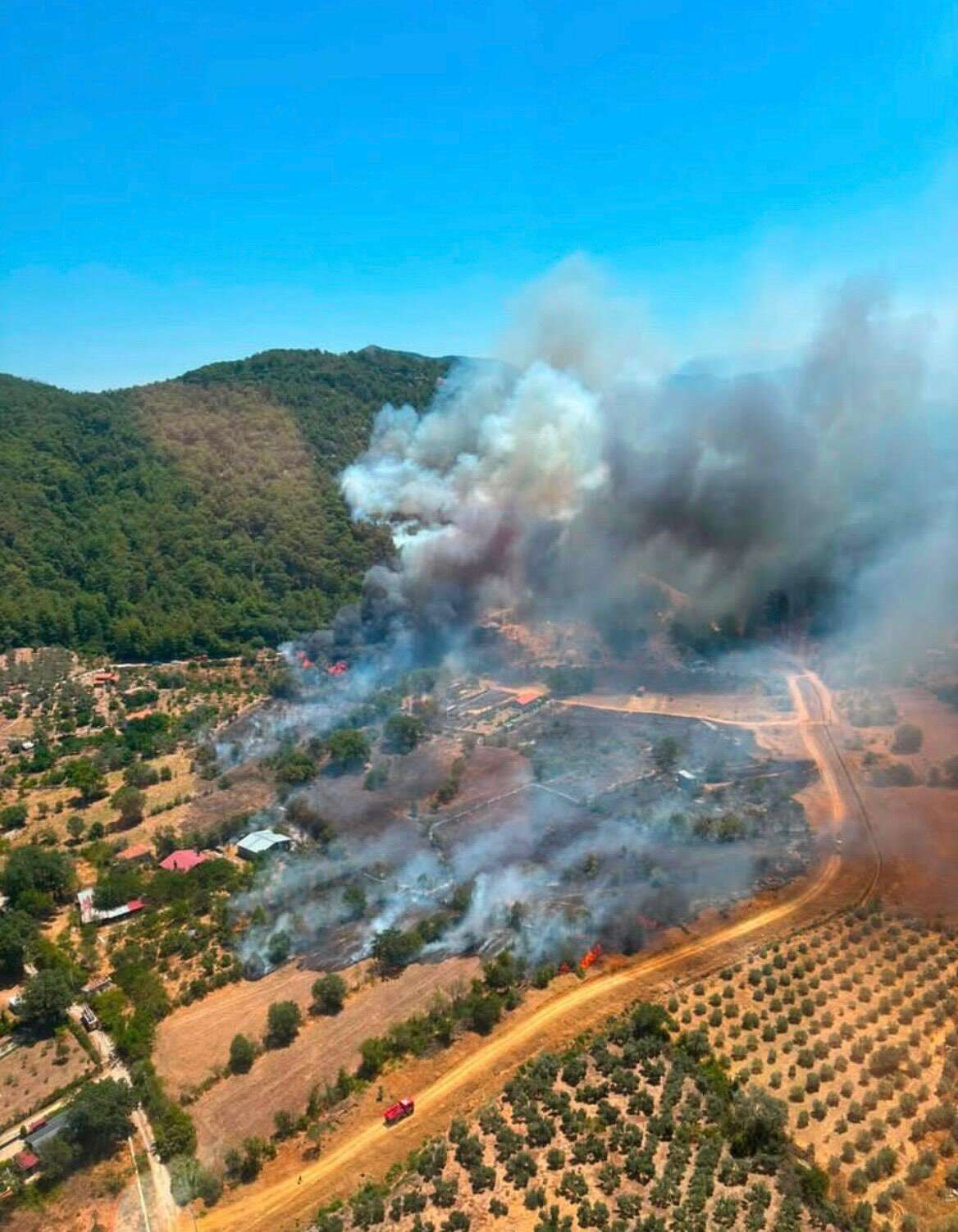 mugla-orman-yangini