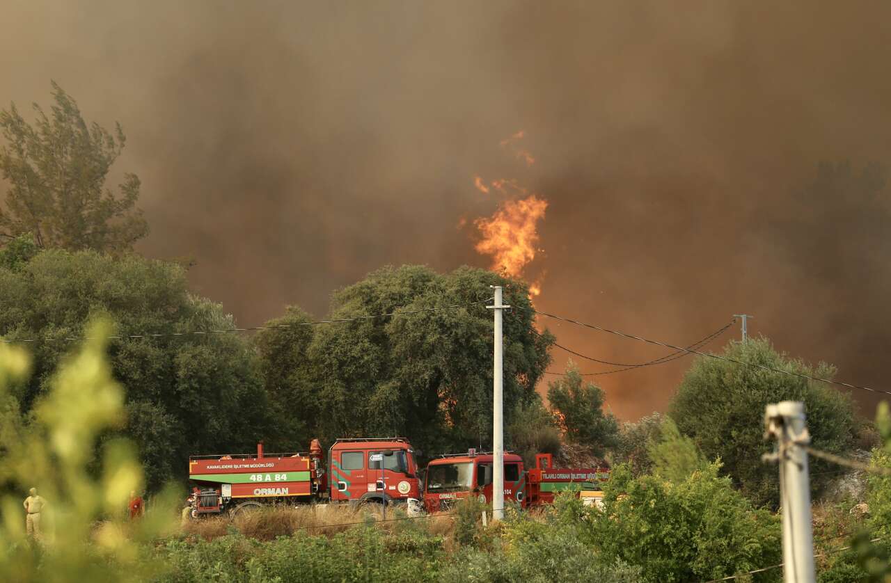 mugla-orman-yangini