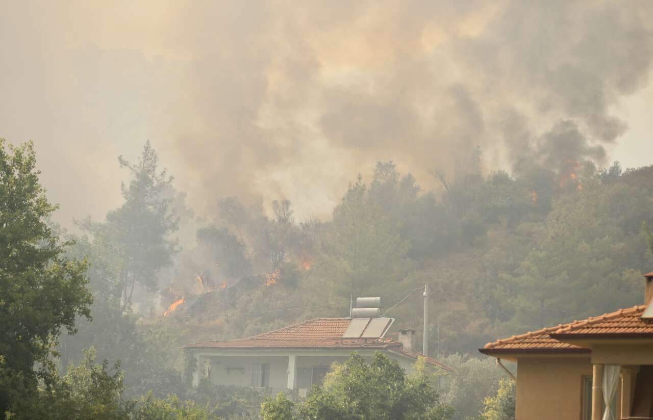 mugla-orman-yangini