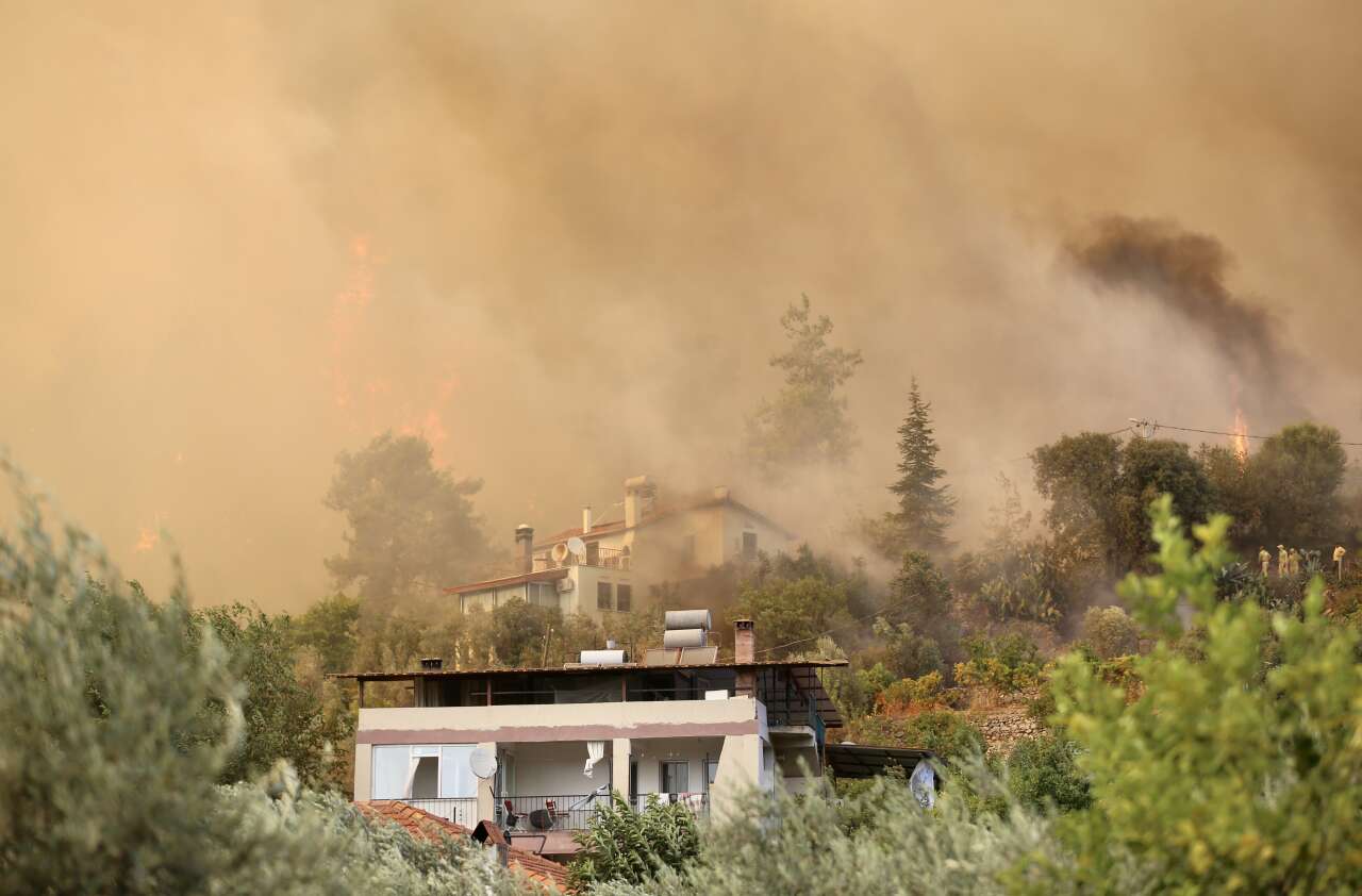 mugla-orman-yangini