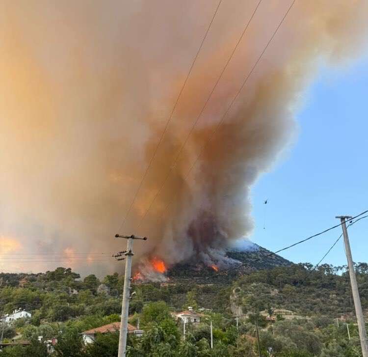 mugla-orman-yangini