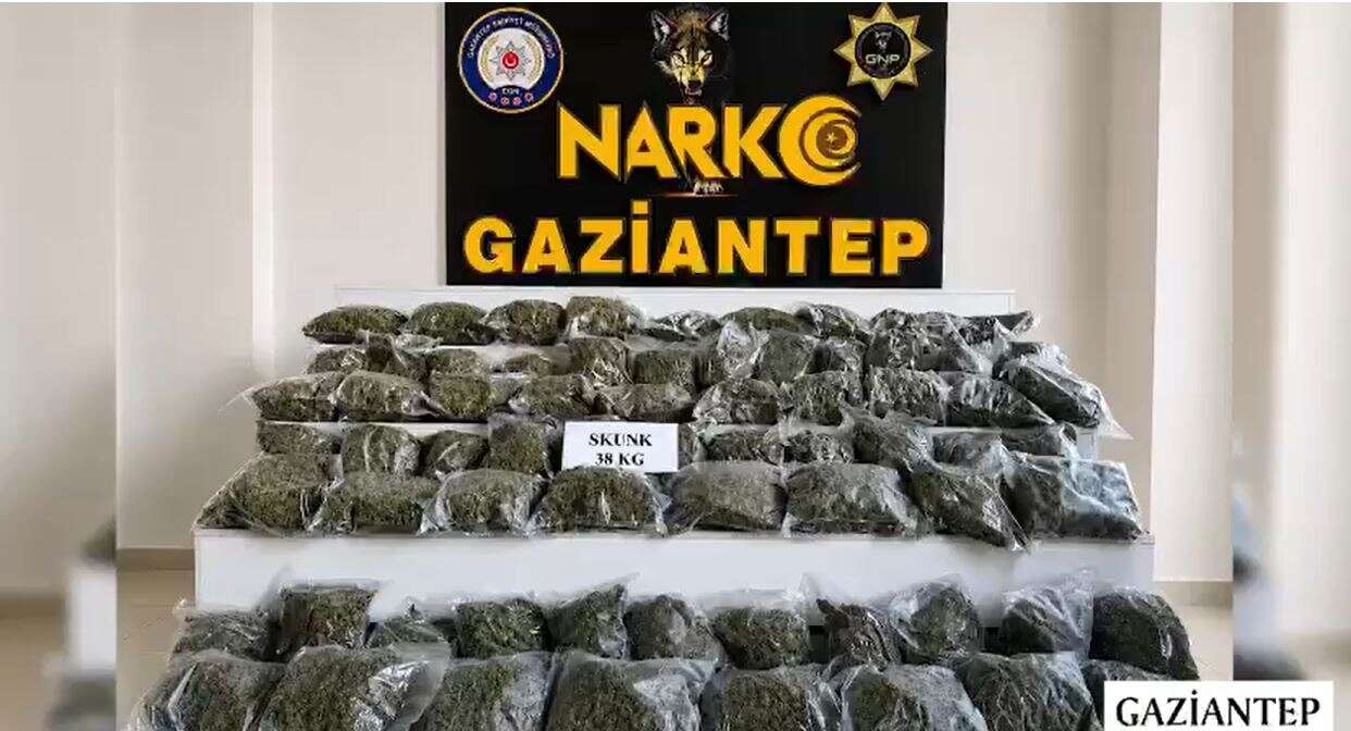 narko-kapan