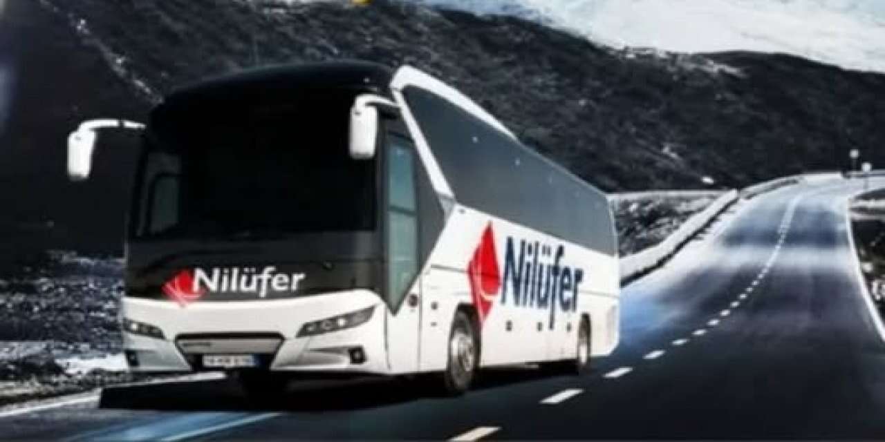 tmsf